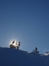 Low angle view of trees against clear blue sky