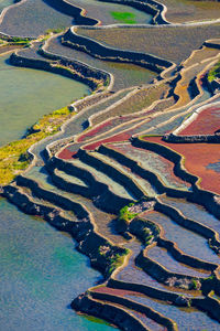 High angle view of agricultural field