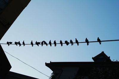 Low angle view of birds perching on building against sky