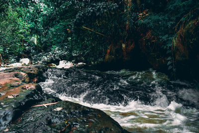 River flowing through rocks in forest