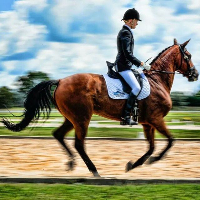 horse, full length, animal themes, riding, motion, domestic animals, lifestyles, one animal, leisure activity, side view, men, on the move, sport, sky, road, running, rear view, mammal