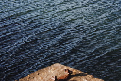 High angle view of rock in sea