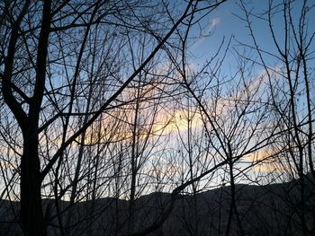 Low angle view of bare trees against sky at sunset