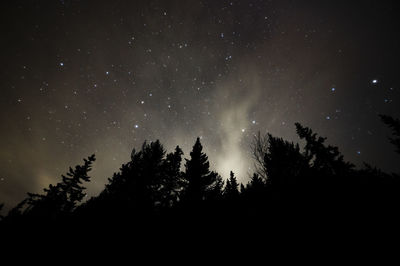 Low angle view of silhouette trees against sky at night