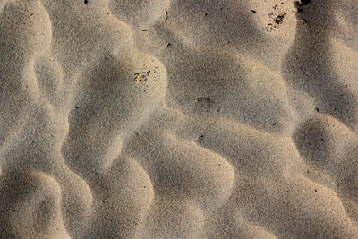 High angle view of footprints on sand