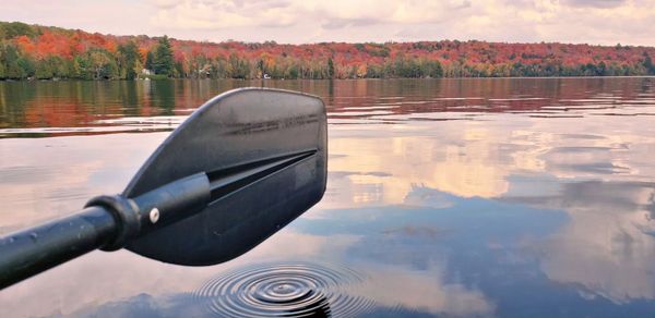Reflection of trees in lake against sky