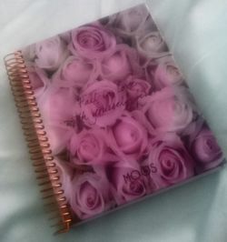 High angle view of pink roses on table