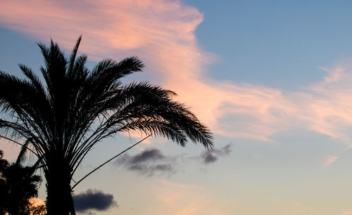 Low angle view of silhouette palm tree against sky