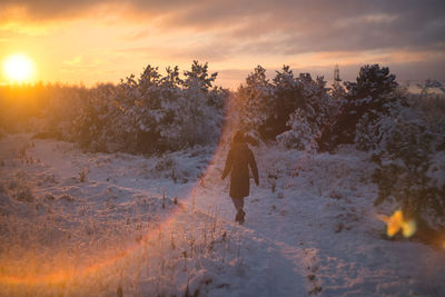 High angle view of trees against sky during sunset