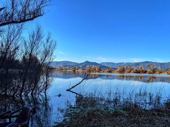 Scenic view of clearlake and ducks against distant mountains.