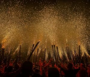 Crowd with fireworks at night