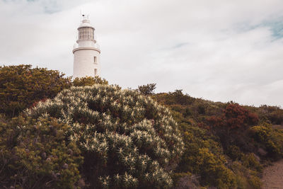 Low angle view of trees by lighthouse against sky