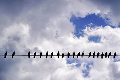 Low angle view of birds perching on cable against sky