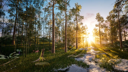 Scenic view of forest