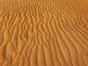 Full frame shot of sand dune