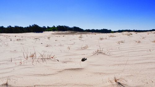 Scenic view of desert against clear sky