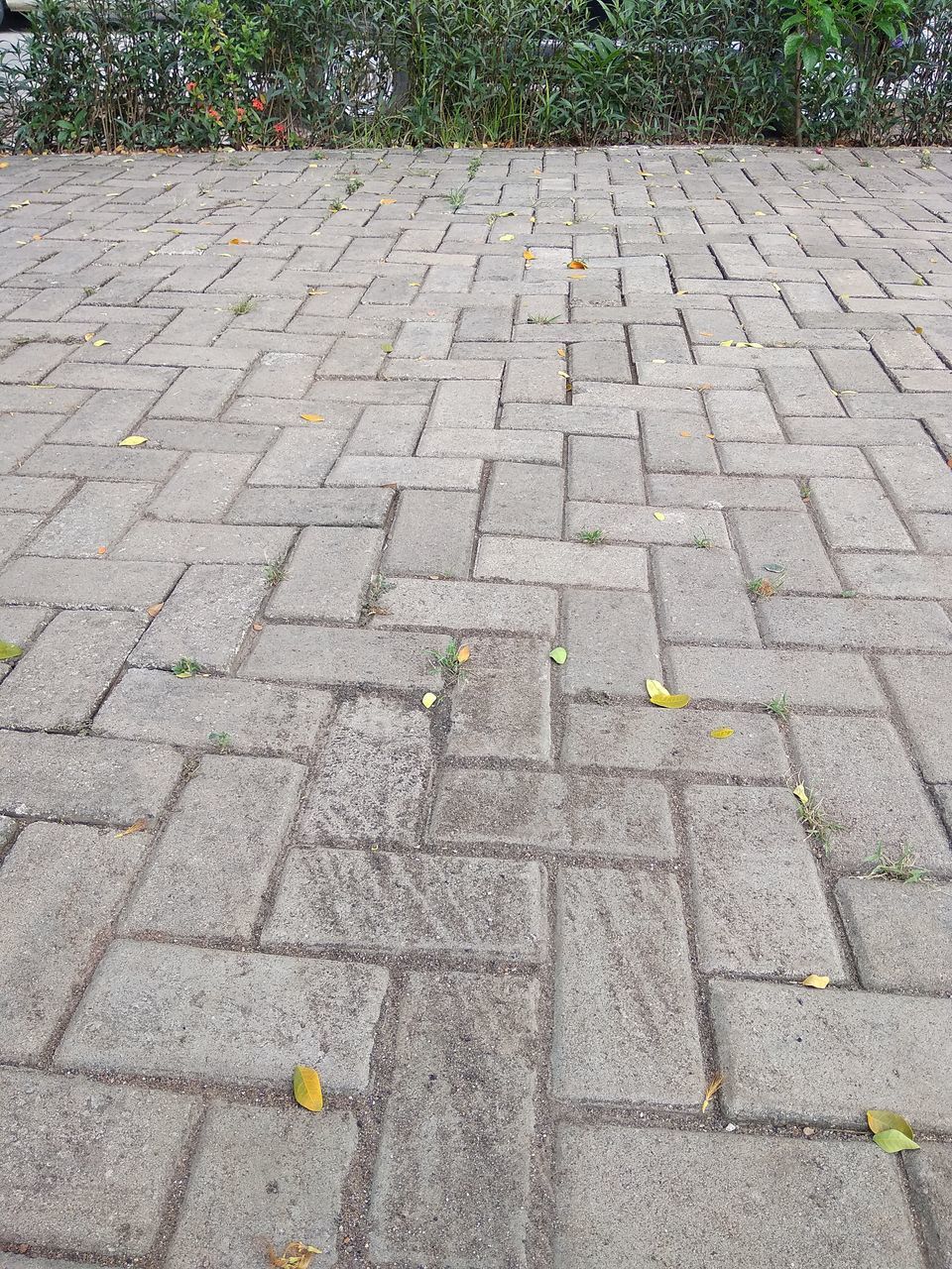 sidewalk, footpath, road surface, walkway, cobblestone, driveway, paving stone, day, asphalt, stone, no people, street, high angle view, plant, outdoor structure, flooring, the way forward, outdoors, city, lane, pattern, floor, public space, nature, roof, flagstone, road, transportation, lawn, sign