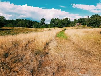 Scenic view of field against cloudy sky