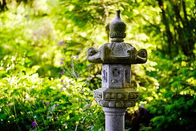 Close-up of statue against plants in park