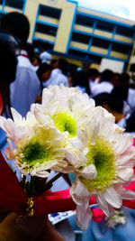 Close-up of white rose flower