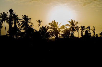 Silhouette palm trees against sky during sunset