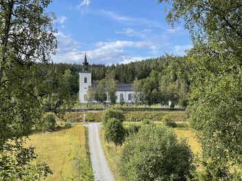 Road amidst trees and buildings against sky