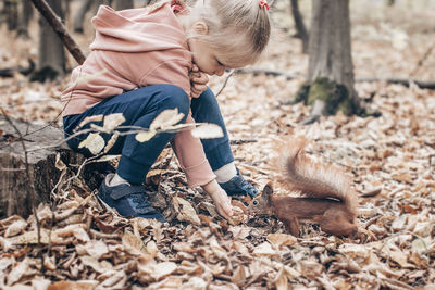 Girl feeding squirrel nuts in the forest