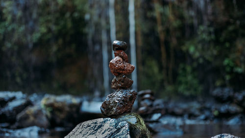 Close-up of statue on rock