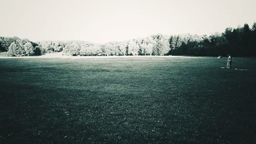 Scenic view of trees against sky