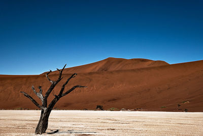 Scenic view of desert against clear blue sky