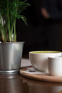 Close-up of potted plant on table