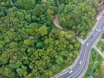 High angle view of road amidst trees in city