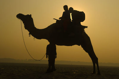 Silhouette people on beach during sunset