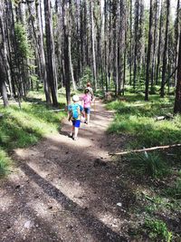 Girl standing on footpath in forest