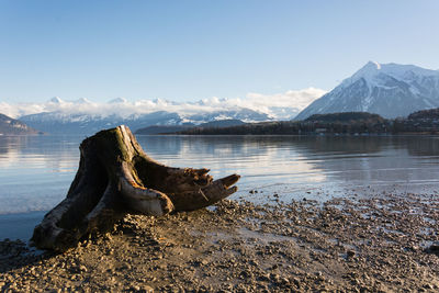 Berner oberland thunersee