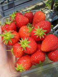 Close-up of strawberries