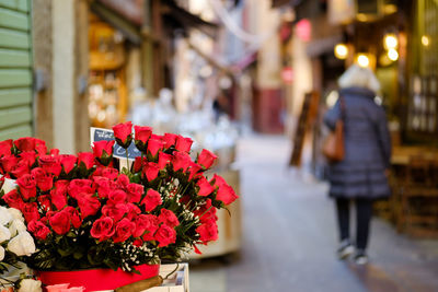 Close-up of red roses against city