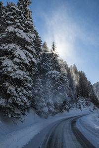 Snow covered road by trees against sky