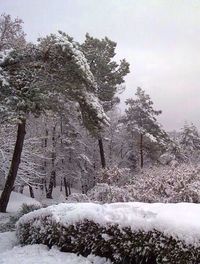 Scenic view of snow covered landscape