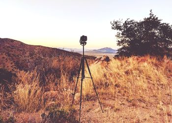 Scenic view of field against clear sky