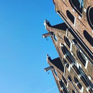 Low angle view of bird against clear blue sky