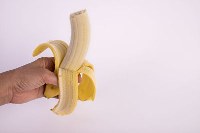 Midsection of person holding apple against white background