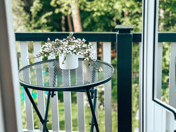 Close-up of potted plant on table by window