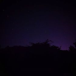 Low angle view of silhouette trees against sky at night