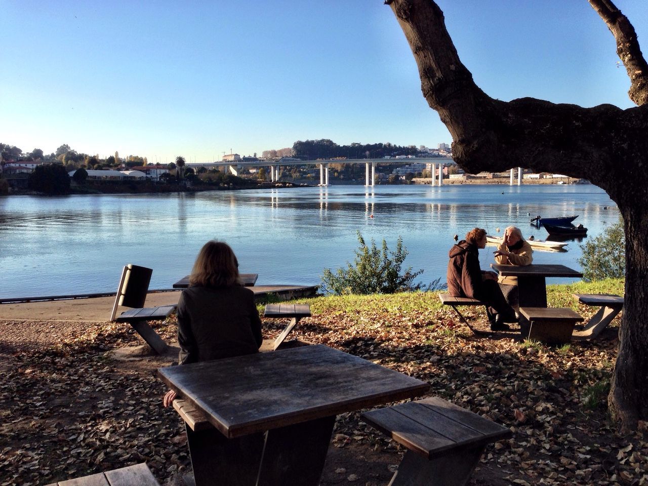 relaxation, sitting, water, chair, clear sky, leisure activity, lifestyles, bench, beach, person, vacations, men, tranquility, tranquil scene, sea, rear view, table, sunlight