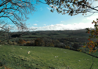 Scenic view of landscape against sky