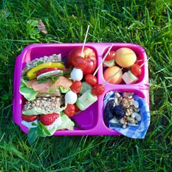 High angle view of fruits in grass