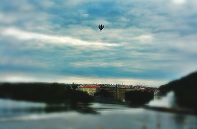 Bird flying over sea