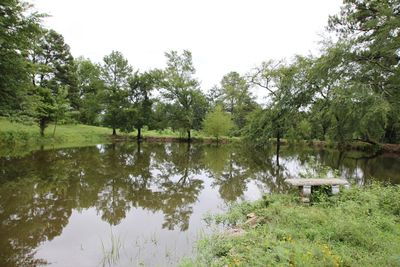 Scenic view of calm lake against clear sky