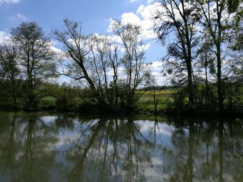 Scenic view of lake by trees against sky